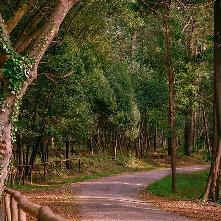 Ocean 52 By Rent4all *