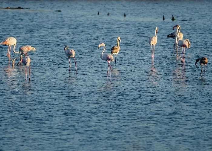 Ocean 52 By Rent4all アパート